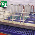 Poultry farming equipment sow farrowing cage pig crate henan